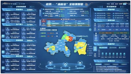 重慶7個案例獲評全國數字化監管典型，數據處理服務成關鍵驅動力